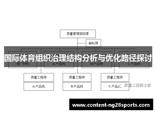 国际体育组织治理结构分析与优化路径探讨