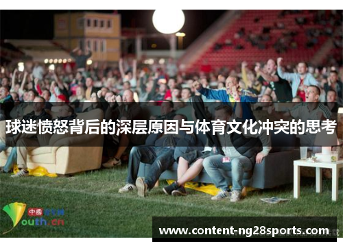球迷愤怒背后的深层原因与体育文化冲突的思考