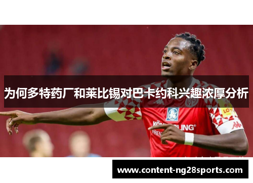 为何多特药厂和莱比锡对巴卡约科兴趣浓厚分析