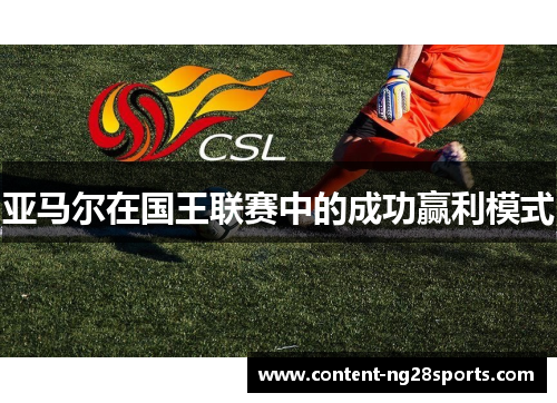 亚马尔在国王联赛中的成功赢利模式
