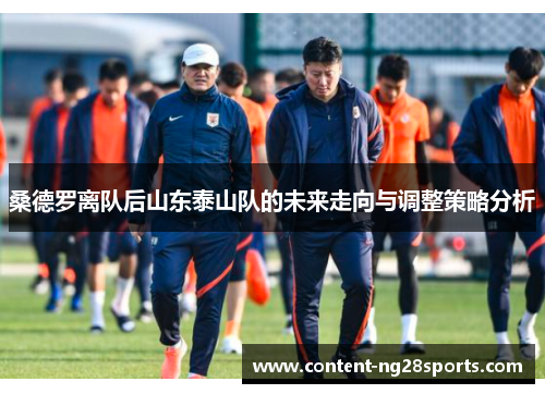 桑德罗离队后山东泰山队的未来走向与调整策略分析