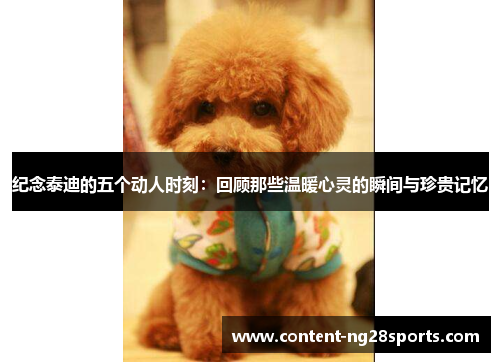 纪念泰迪的五个动人时刻：回顾那些温暖心灵的瞬间与珍贵记忆