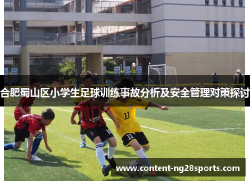 合肥蜀山区小学生足球训练事故分析及安全管理对策探讨