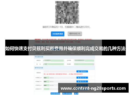 如何快速支付贝兹利买断费用并确保顺利完成交易的几种方法