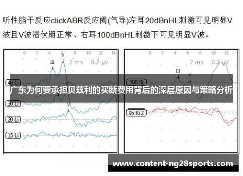 广东为何要承担贝兹利的买断费用背后的深层原因与策略分析
