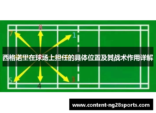西格诺里在球场上担任的具体位置及其战术作用详解 西格诺里在球场上担任的具体位置及其战术作用详解