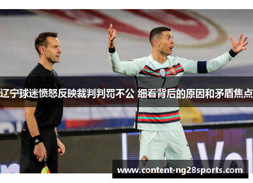 辽宁球迷愤怒反映裁判判罚不公 细看背后的原因和矛盾焦点