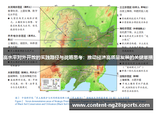 高水平对外开放的实践路径与战略思考：推动经济高质量发展的关键举措