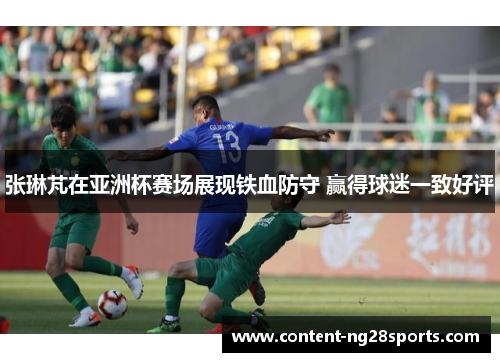 张琳芃在亚洲杯赛场展现铁血防守 赢得球迷一致好评